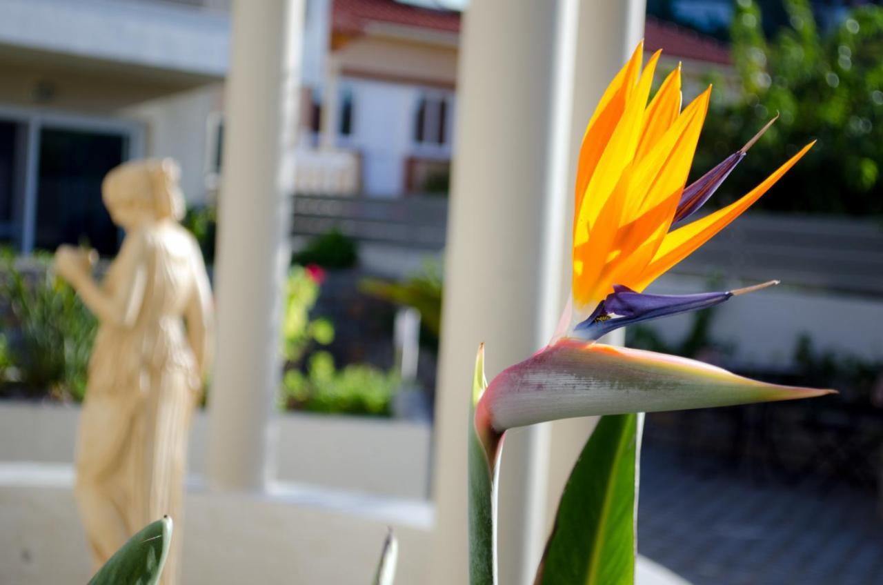Hotel Estia 菲尼孔塔 外观 照片